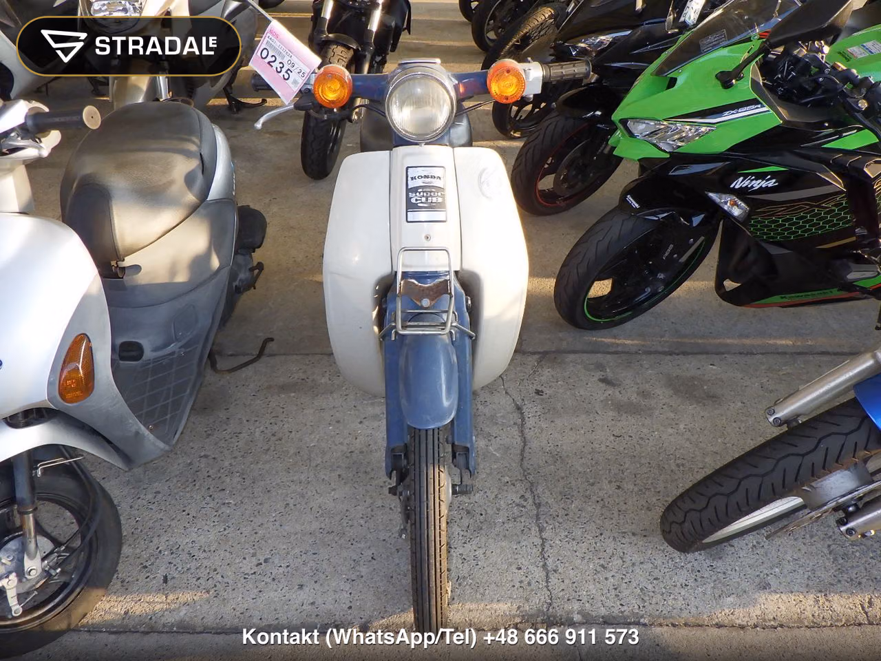 HONDA C50, miniaturka 6