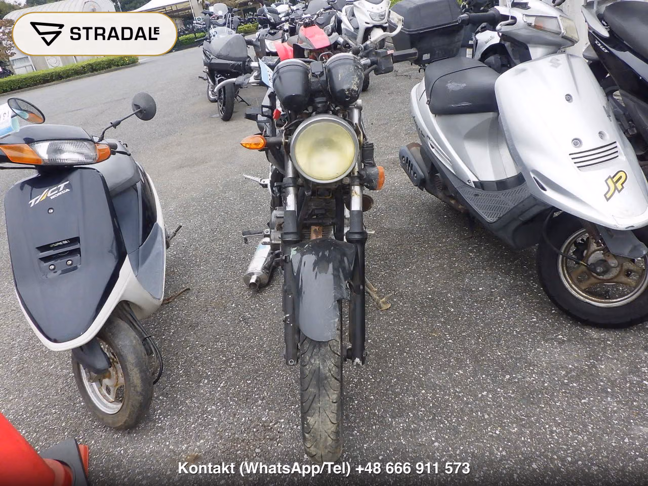 YAMAHA YBR250(ｼｮﾙｲﾅｼ), miniaturka 6