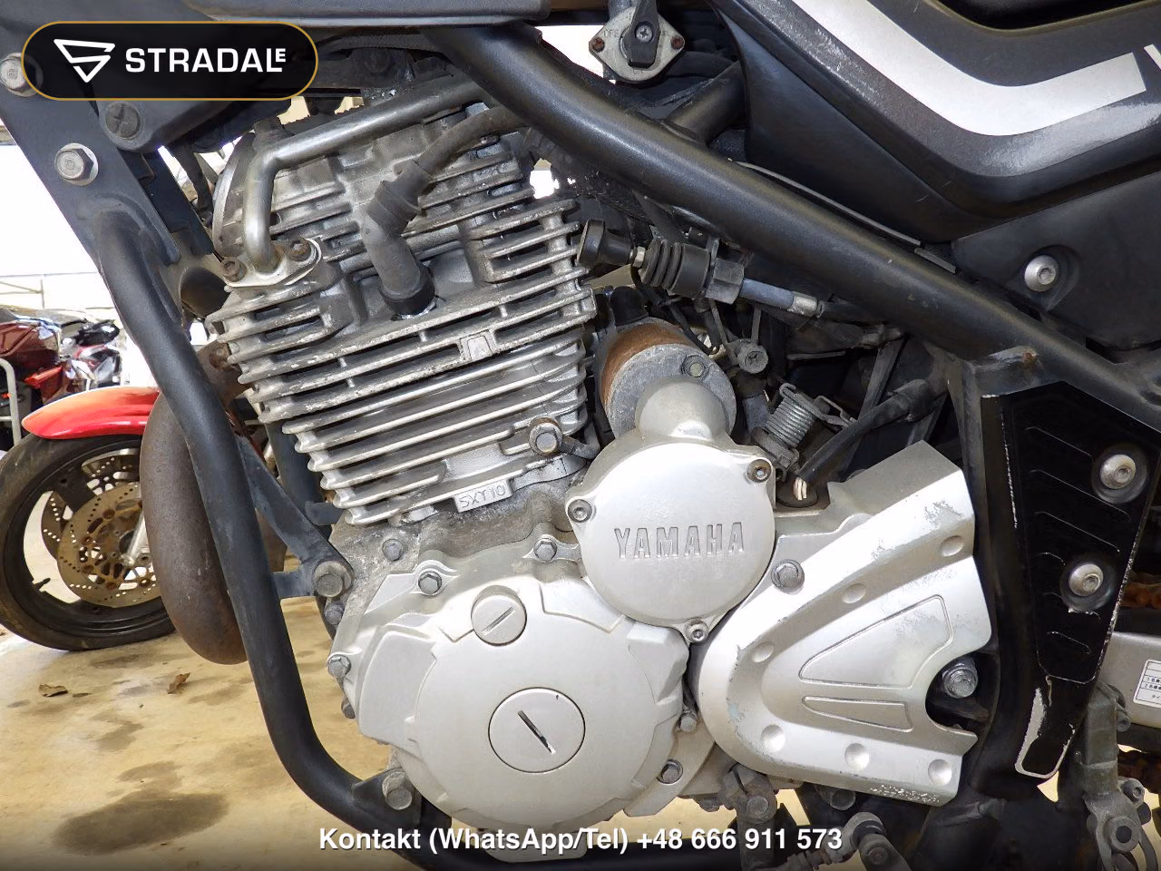 YAMAHA ｾﾛｰ250(ｼｮﾙｲﾅｼ), miniaturka 5
