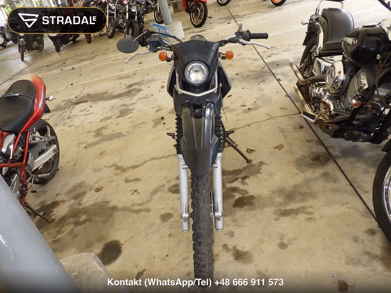 YAMAHA ｾﾛｰ250(ｼｮﾙｲﾅｼ), miniaturka 6