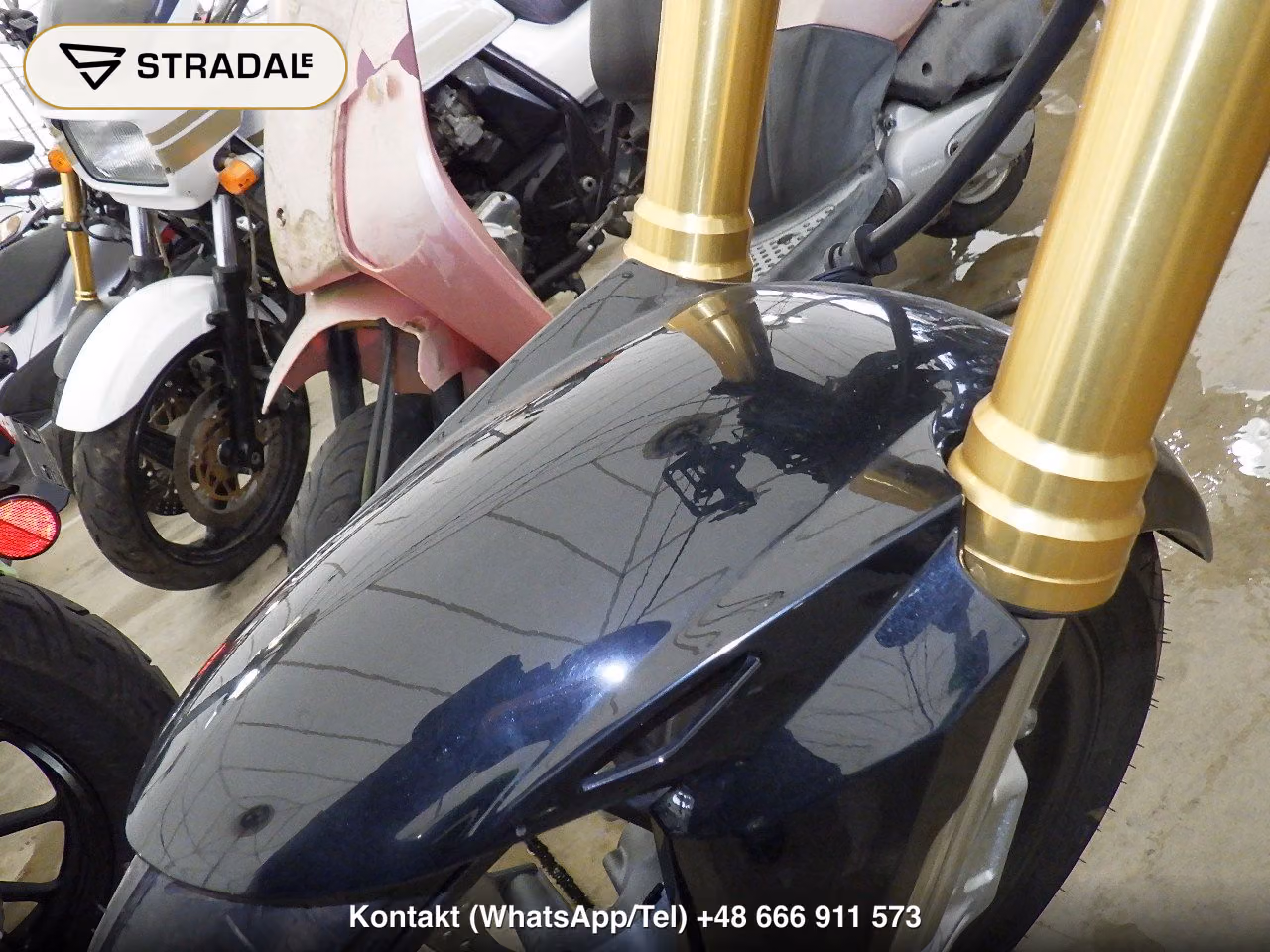 HONDA CB150X(ｼｮﾙｲﾅｼ), miniaturka 8