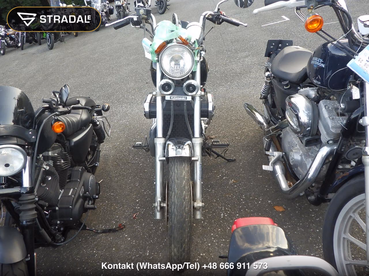 KAWASAKI VZ750(ｼｮﾙｲﾅｼ), miniaturka 6