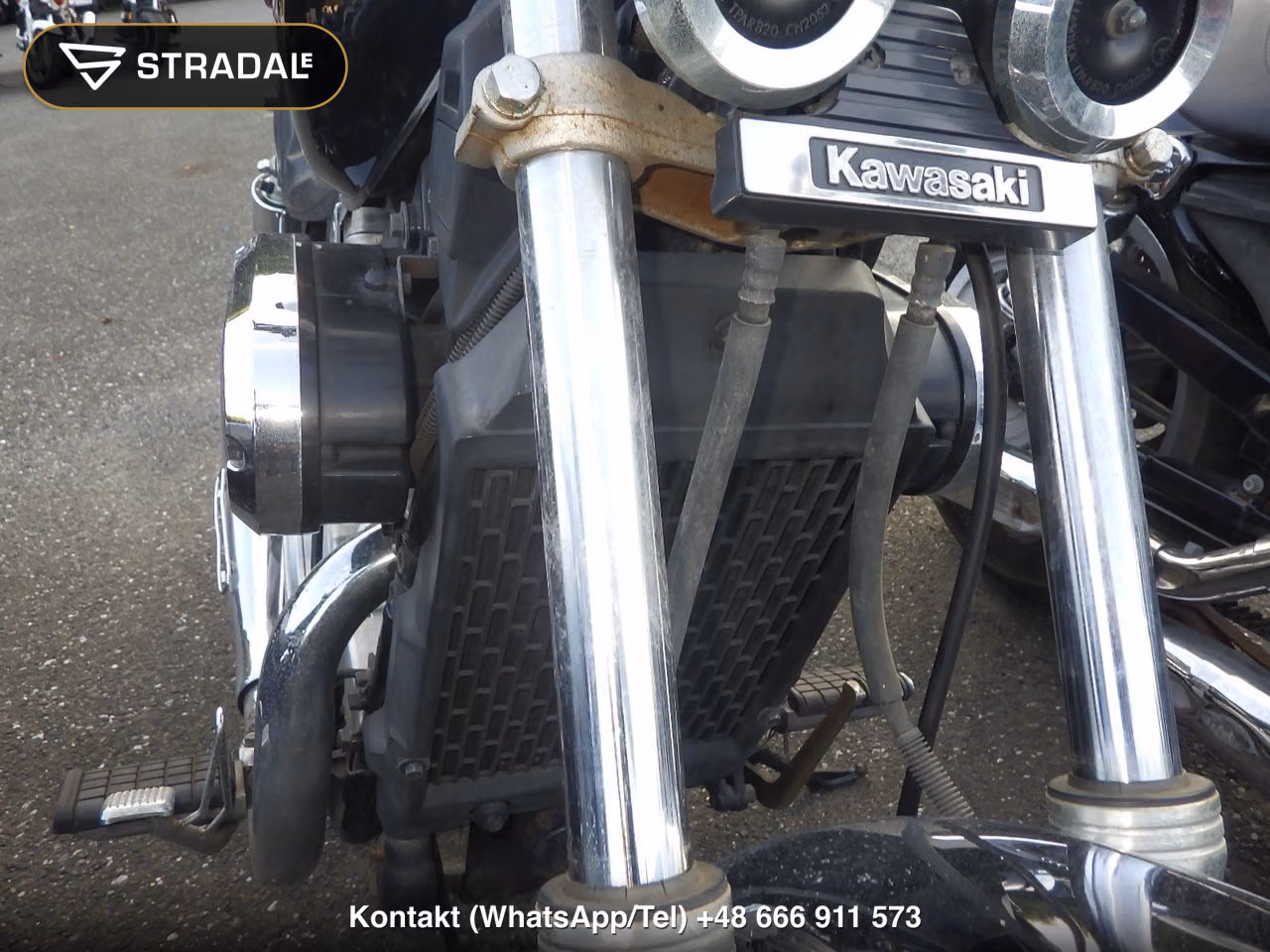 KAWASAKI VZ750(ｼｮﾙｲﾅｼ), miniaturka 8