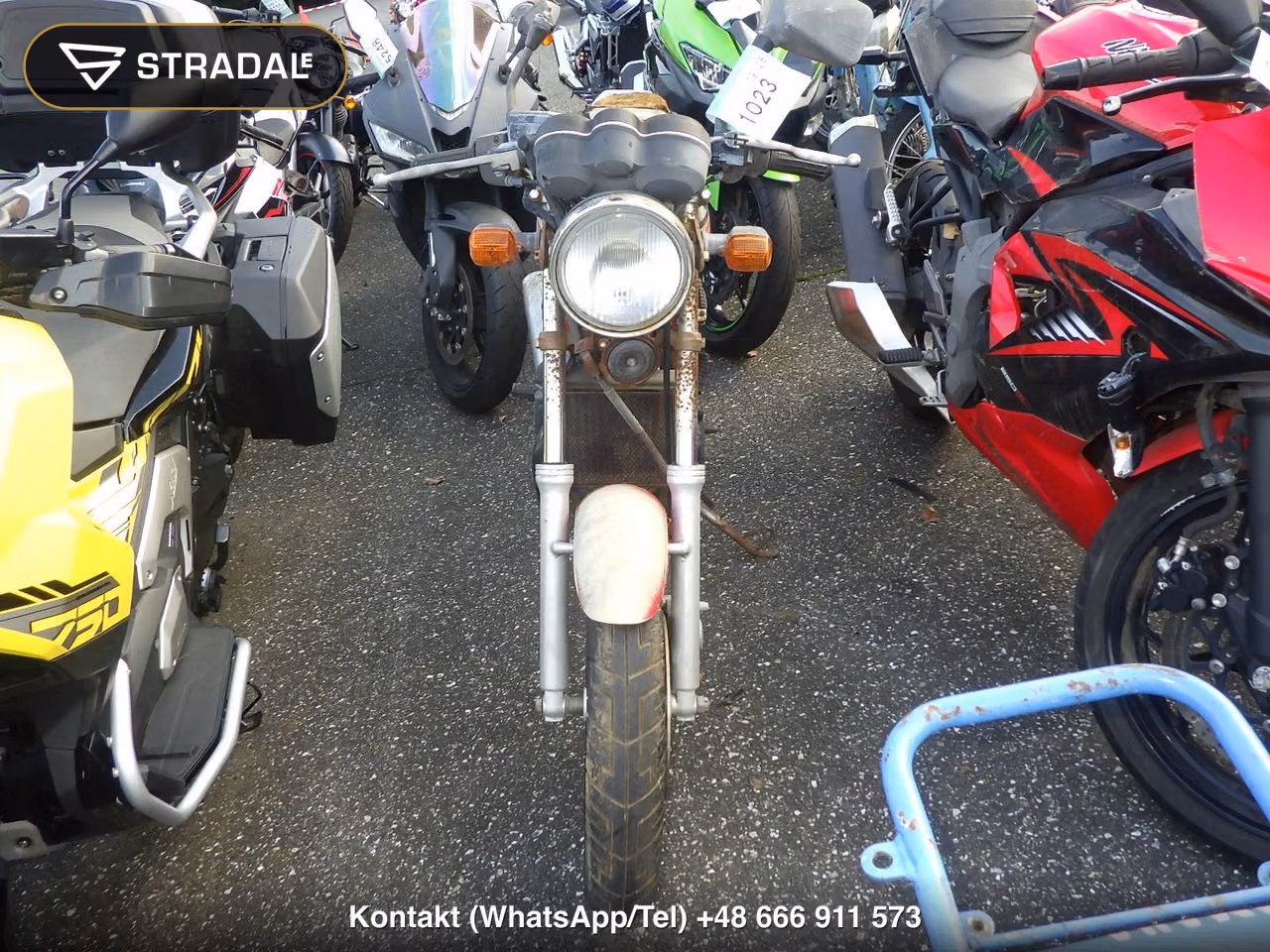 KAWASAKI CS250(ｼｮﾙｲﾅｼ), miniaturka 6