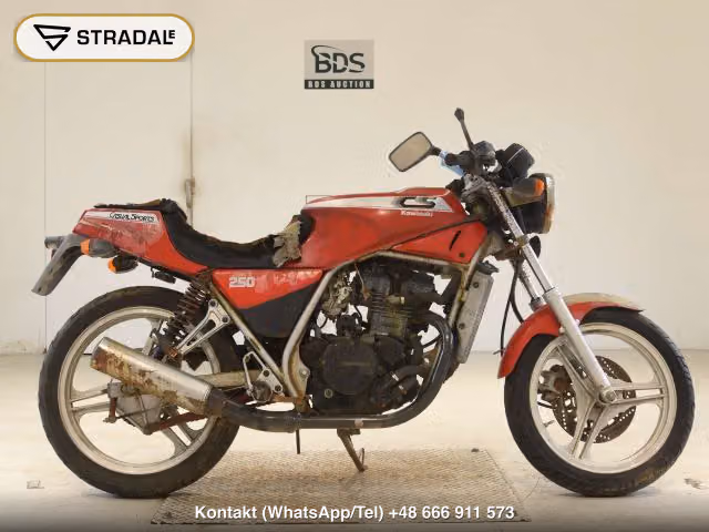 KAWASAKI CS250(ショルイナシ), motocykl z aukcji Japonii