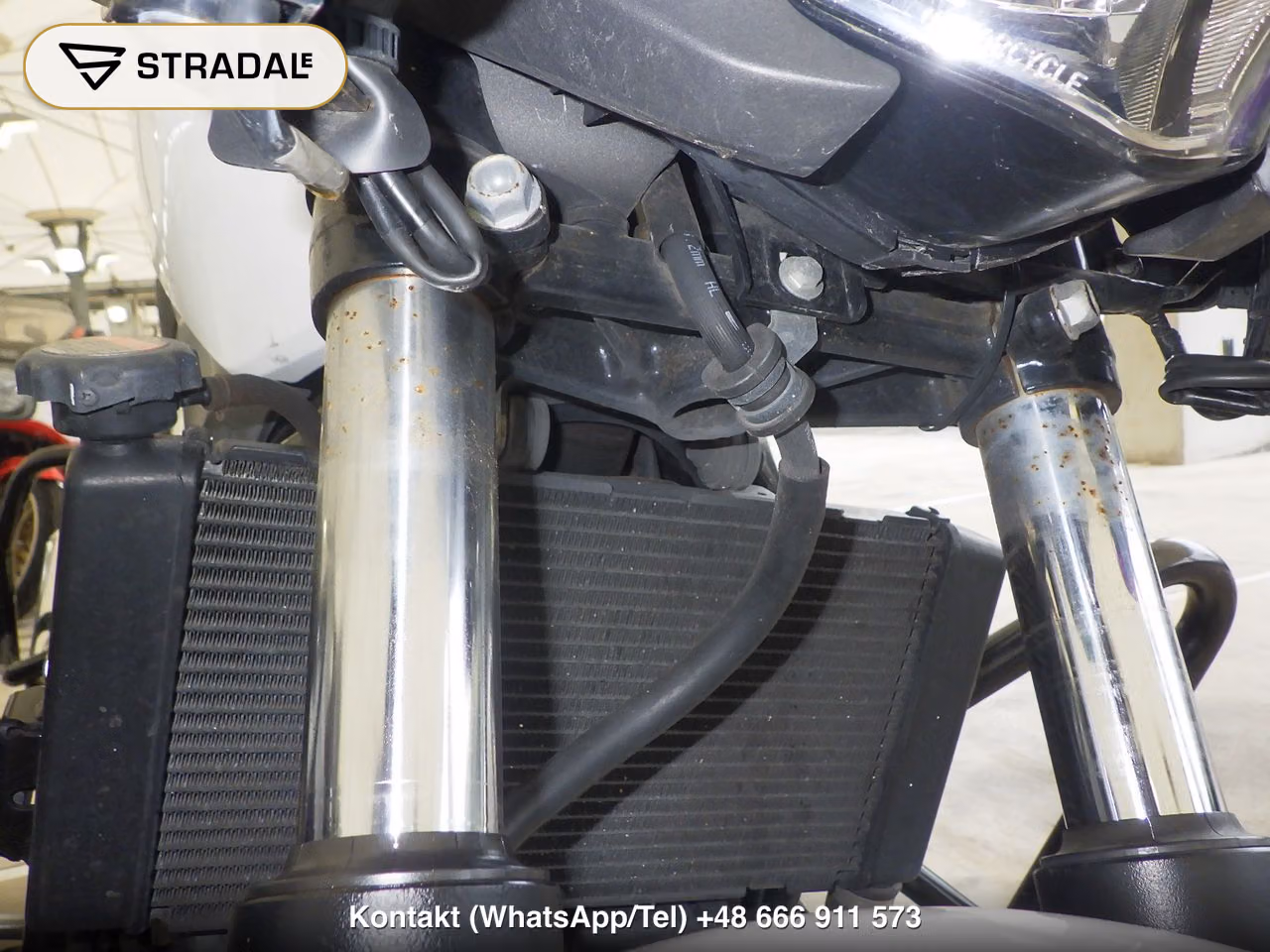 HONDA NC750L(ｼｮﾙｲﾅｼ), miniaturka 8