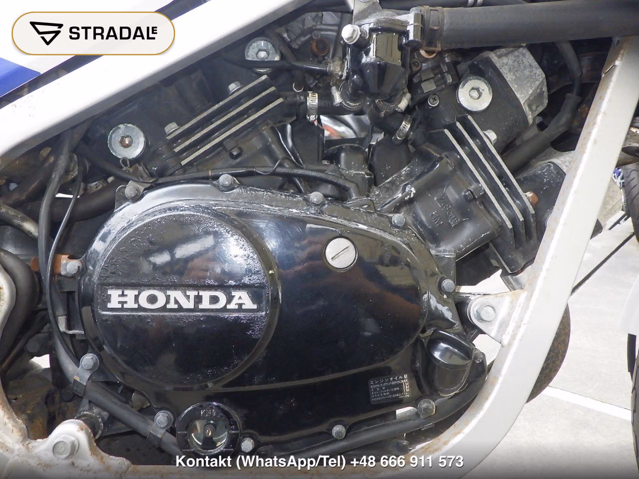 HONDA VT250FE(ｼｮﾙｲﾅｼ), miniaturka 3
