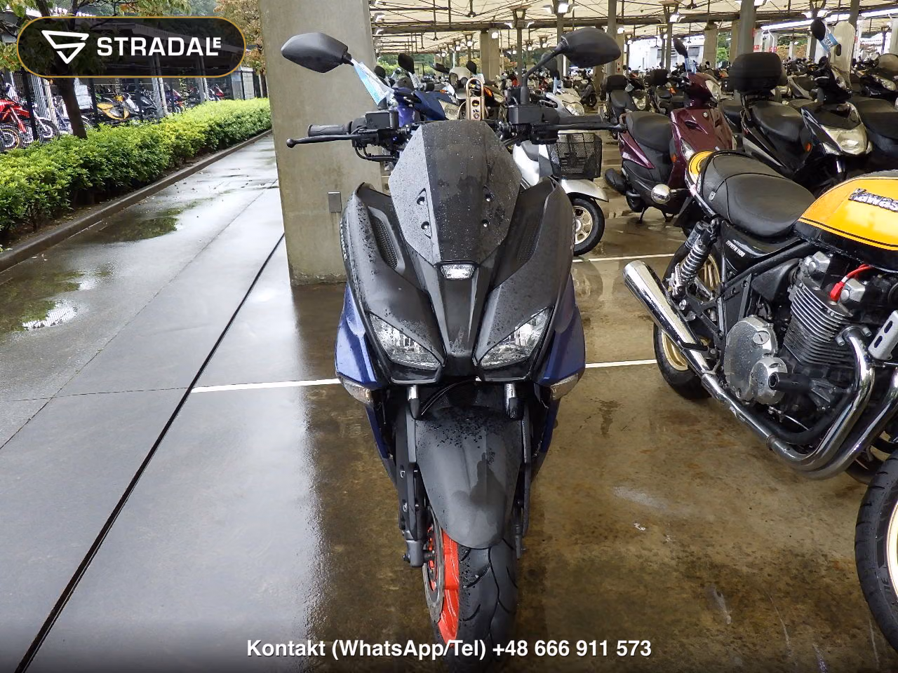 YAMAHA X FORCE, miniaturka 6