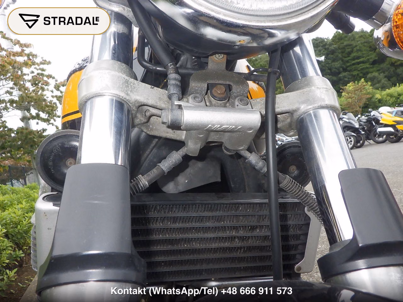 KAWASAKI ZEPHYR1100, miniaturka 8