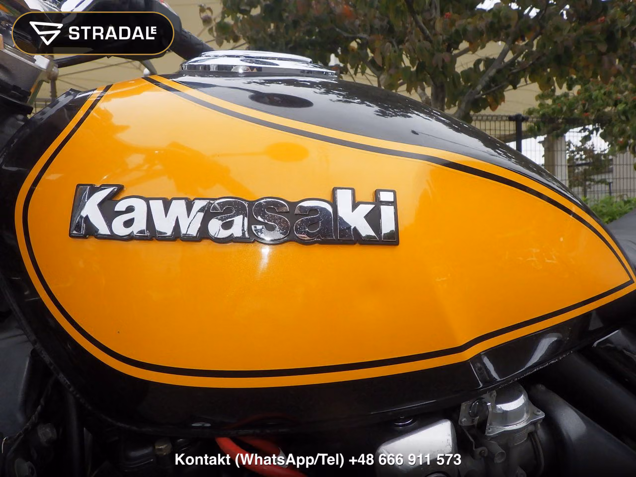 KAWASAKI ZEPHYR1100, miniaturka 10
