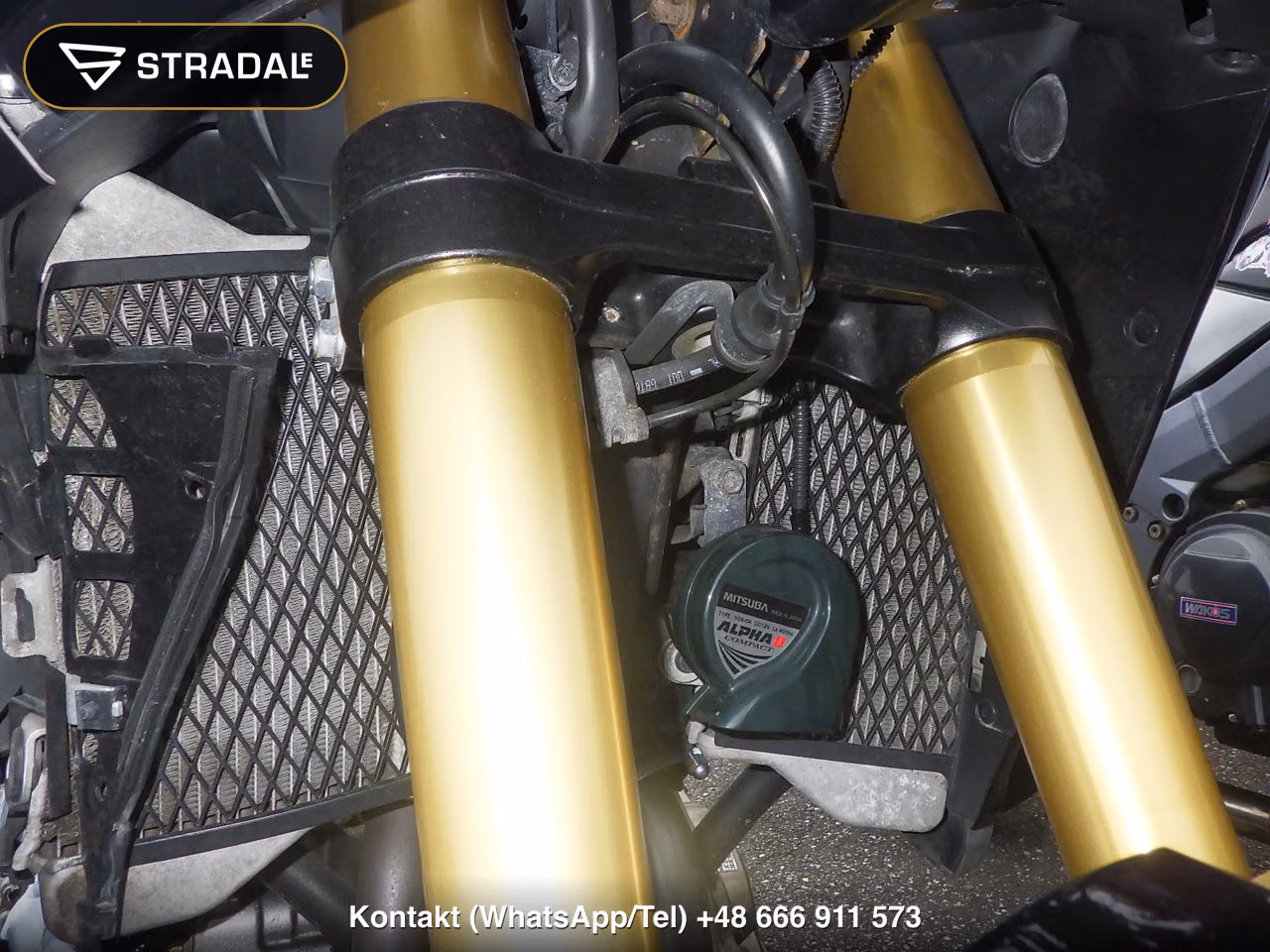 HONDA CRF1000LｱﾌﾘｶﾂｲﾝD, miniaturka 8