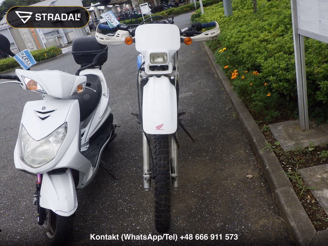 HONDA XR250R, miniaturka 6