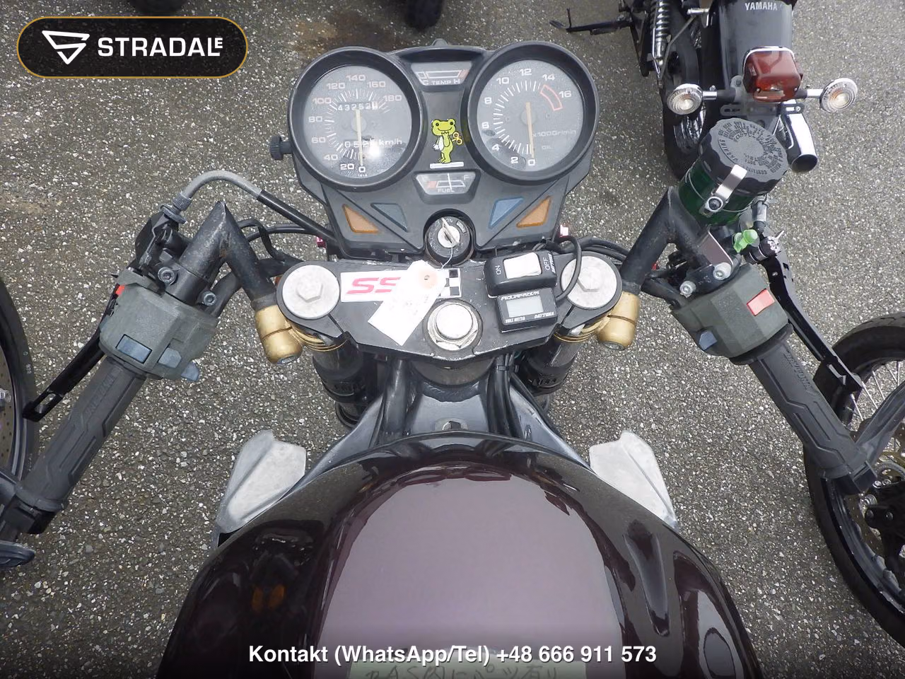 KAWASAKI ｻﾞﾝｻﾞｽ, miniaturka 9