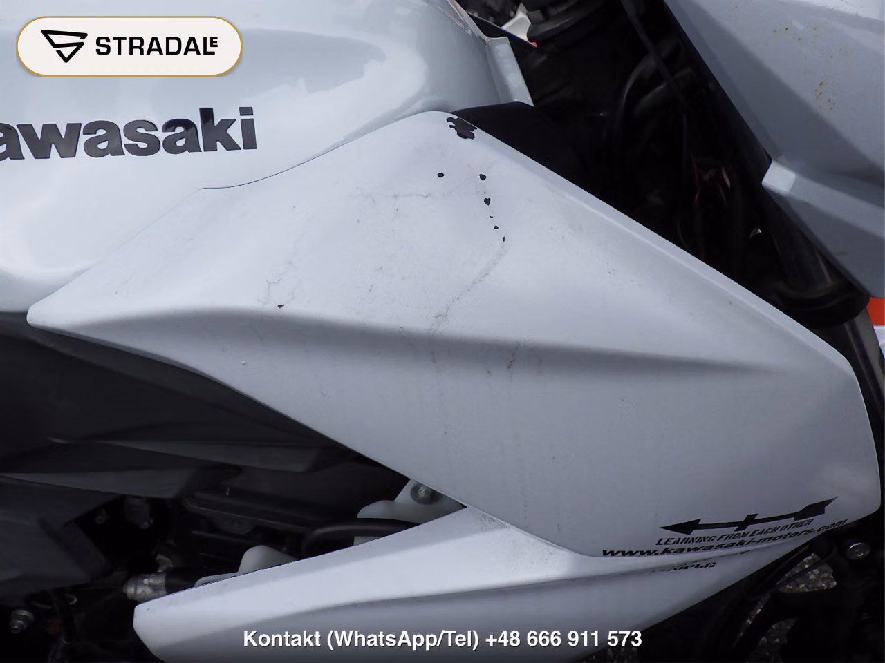 KAWASAKI Z250, miniaturka 11