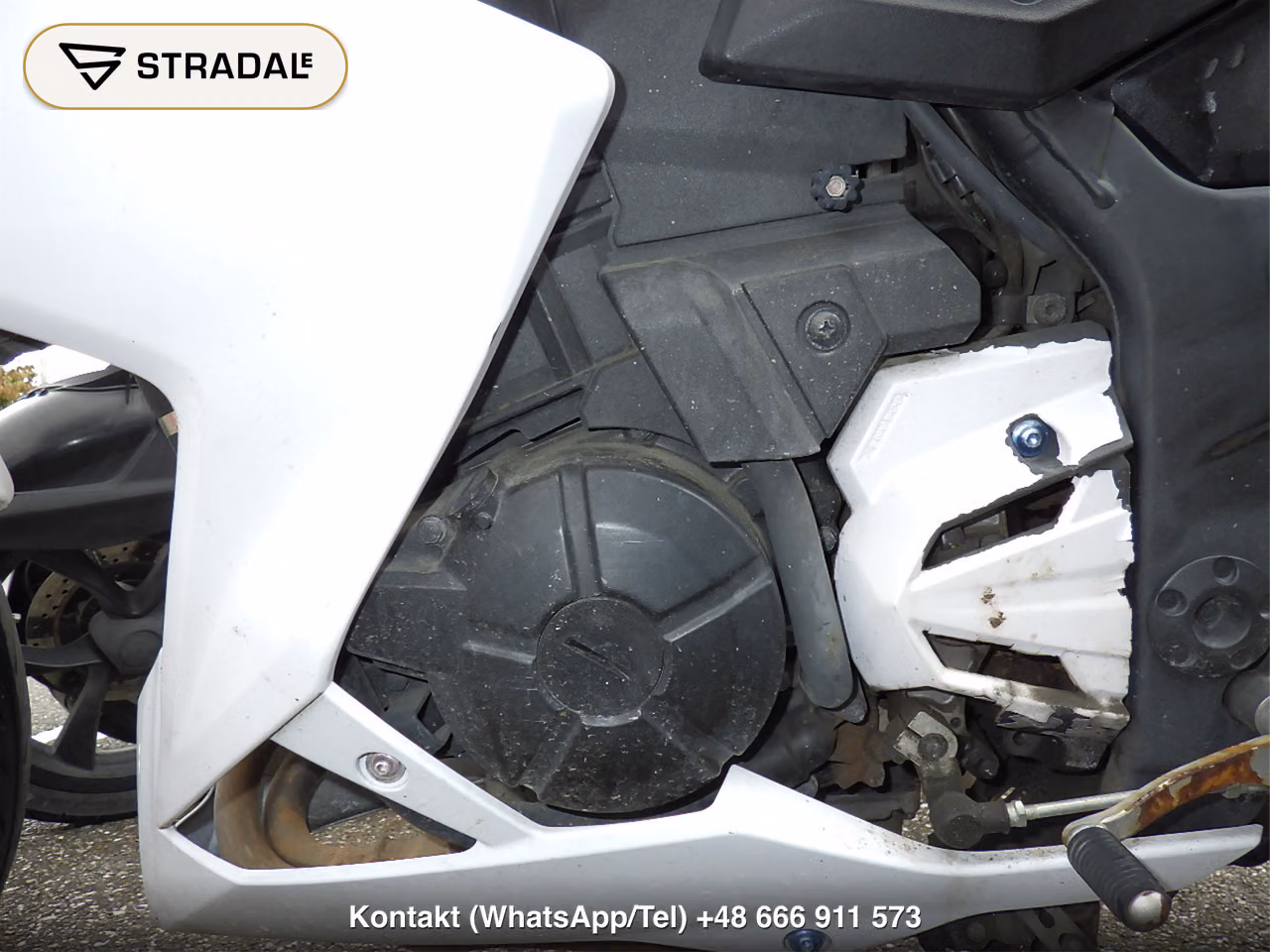 KAWASAKI Z250, miniaturka 5