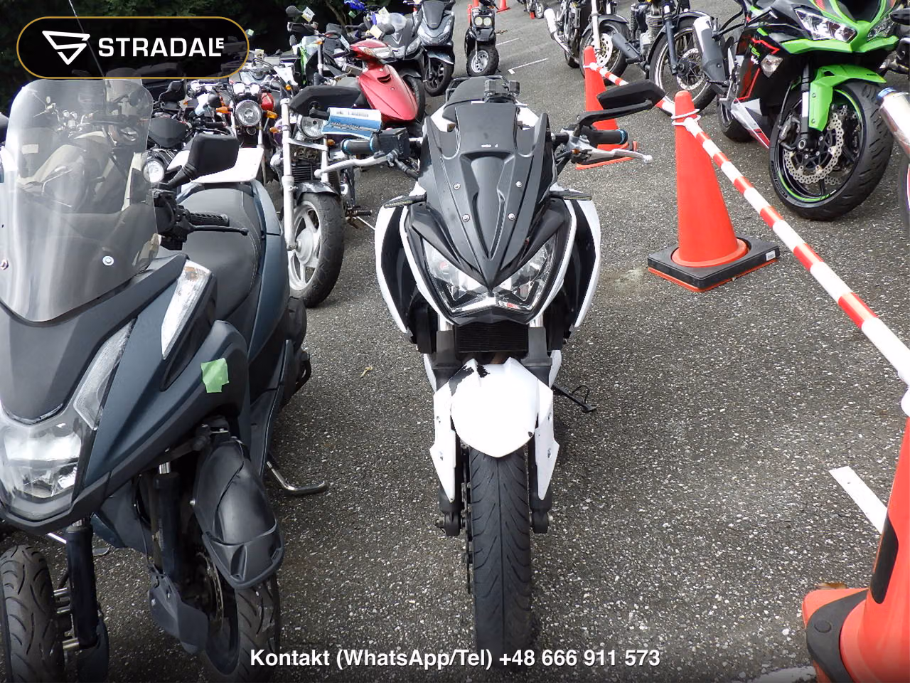 KAWASAKI Z250, miniaturka 6