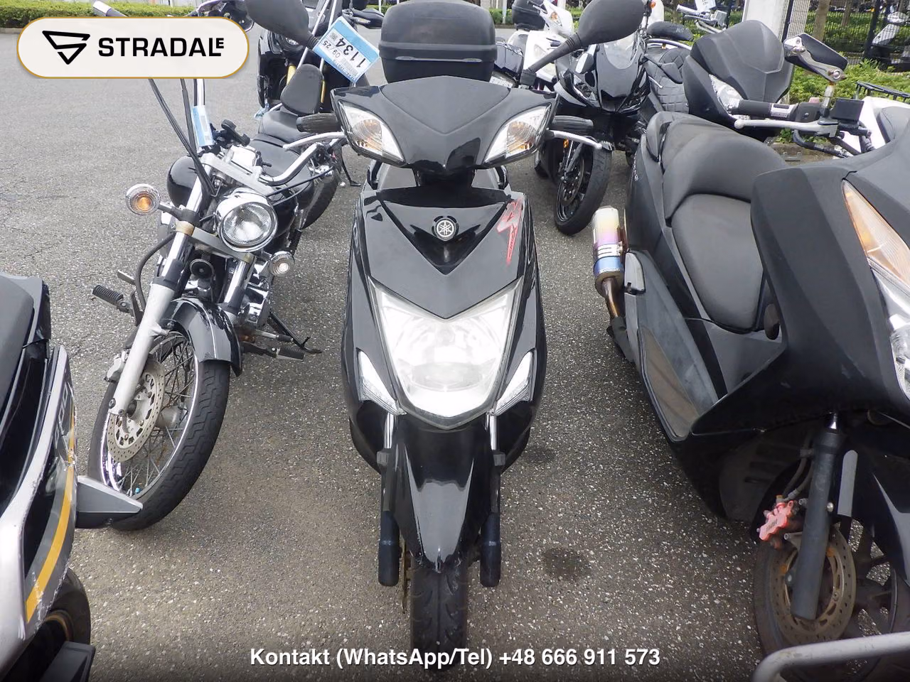 YAMAHA ｼｸﾞﾅｽ125XSR-2, miniaturka 6