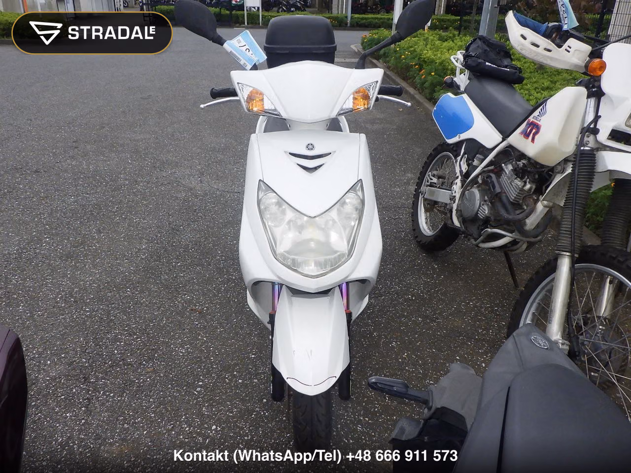 YAMAHA ｼｸﾞﾅｽ125X, miniaturka 6
