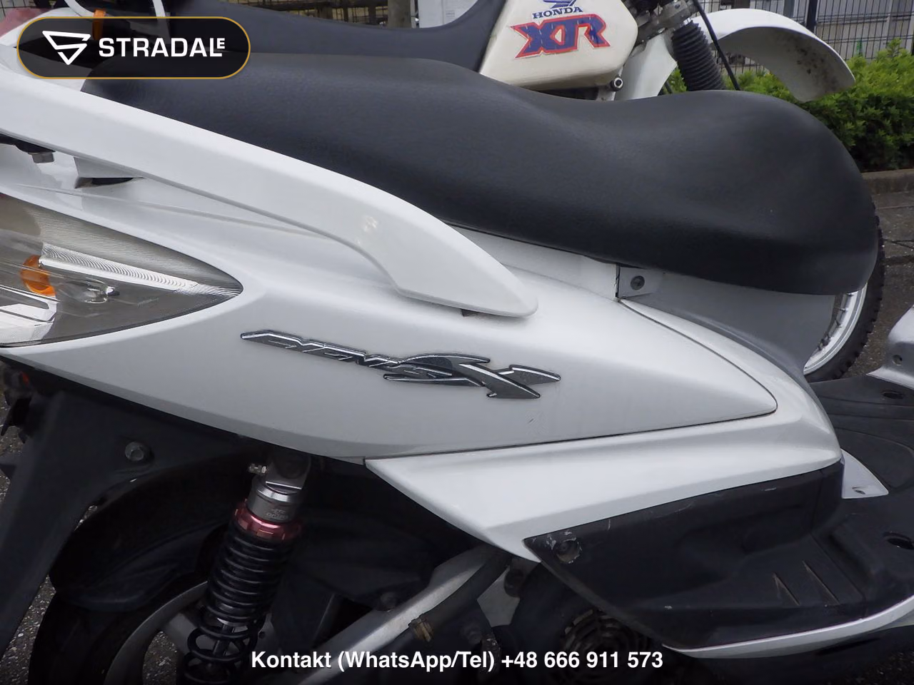 YAMAHA ｼｸﾞﾅｽ125X, miniaturka 10