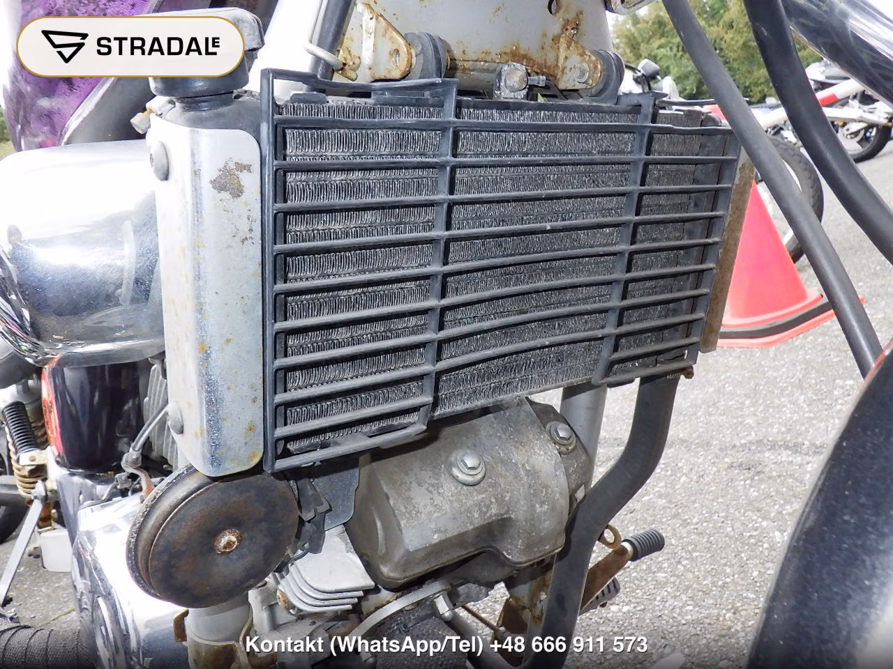 HONDA ﾏｸﾞﾅ250, miniaturka 5