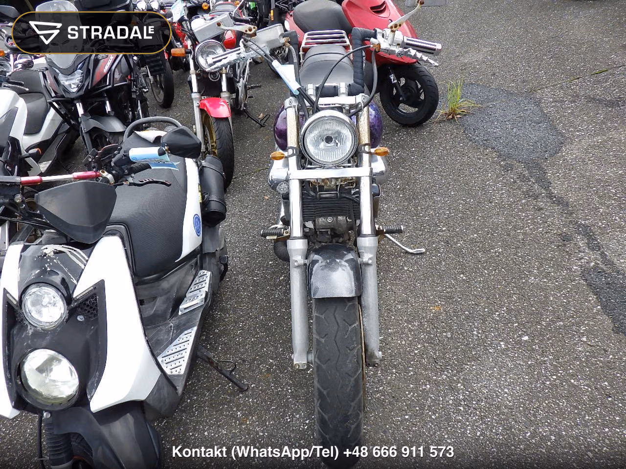 HONDA ﾏｸﾞﾅ250, miniaturka 6
