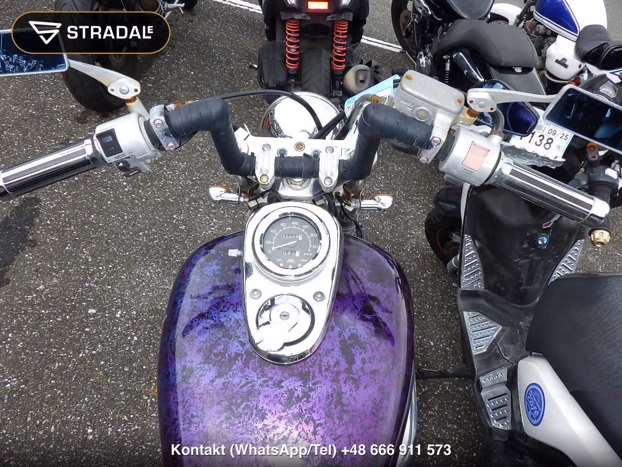 HONDA ﾏｸﾞﾅ250, miniaturka 9
