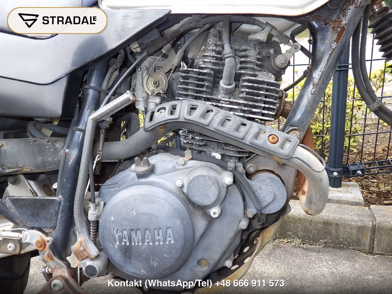 YAMAHA TW225, miniaturka 3