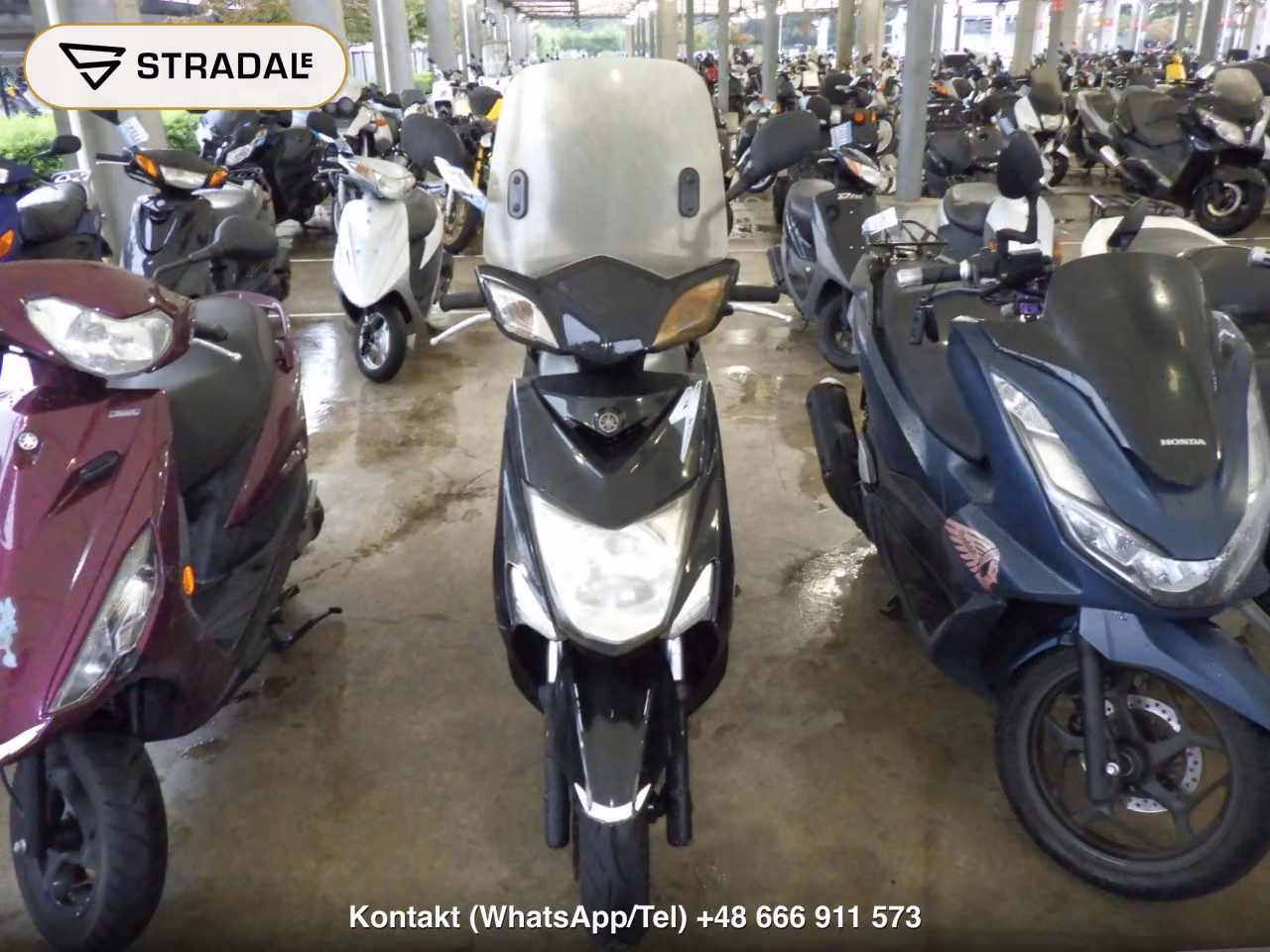YAMAHA ｼｸﾞﾅｽ125XSR-2, miniaturka 6