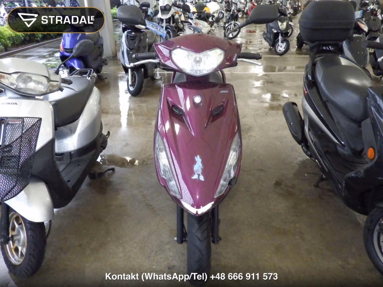 YAMAHA AXIS125Z, miniaturka 6