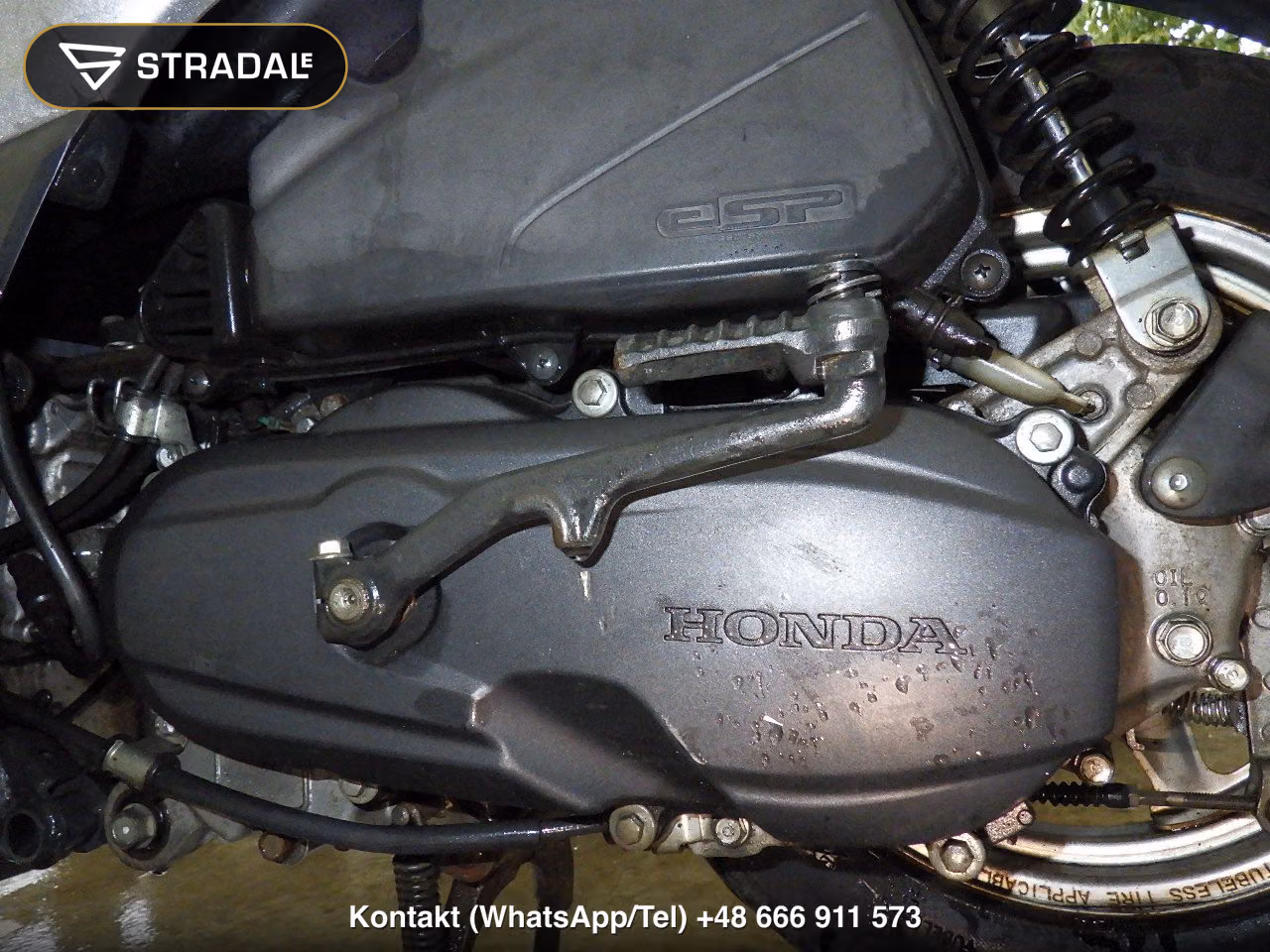 HONDA ﾀｸﾄ-4ﾍﾞｰｼｯｸ, miniaturka 3