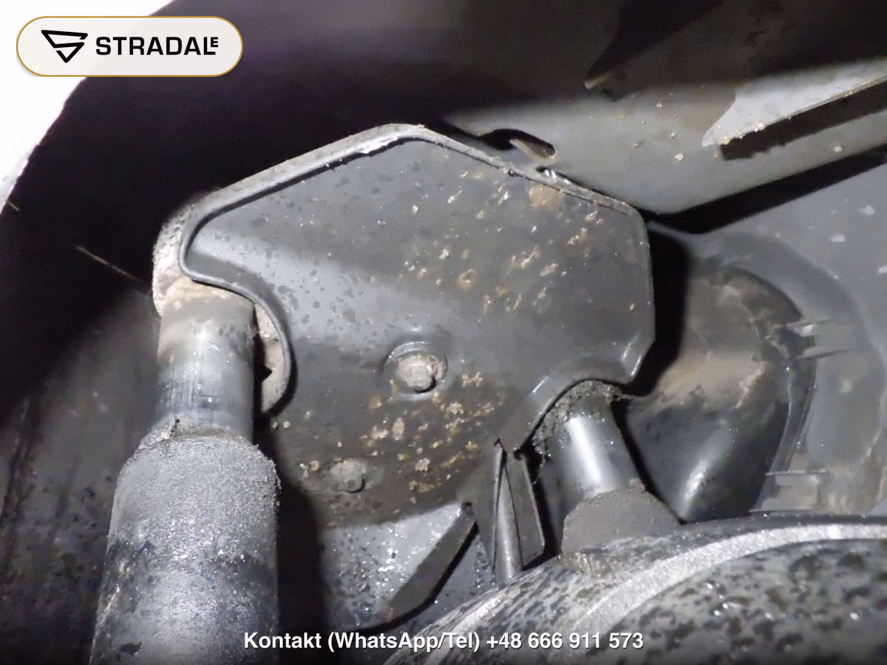 HONDA DIO-3, miniaturka 7
