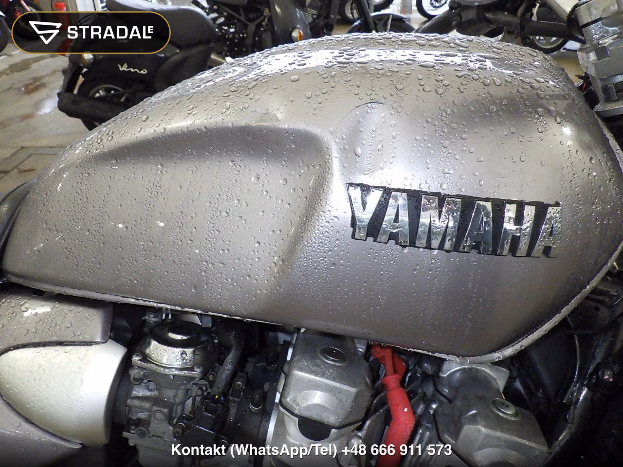 YAMAHA XJR1300, miniaturka 12