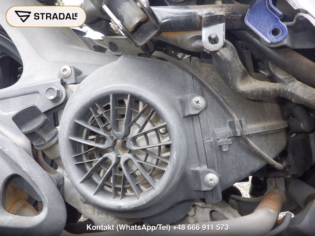 HONDA DIO110-2, miniaturka 2