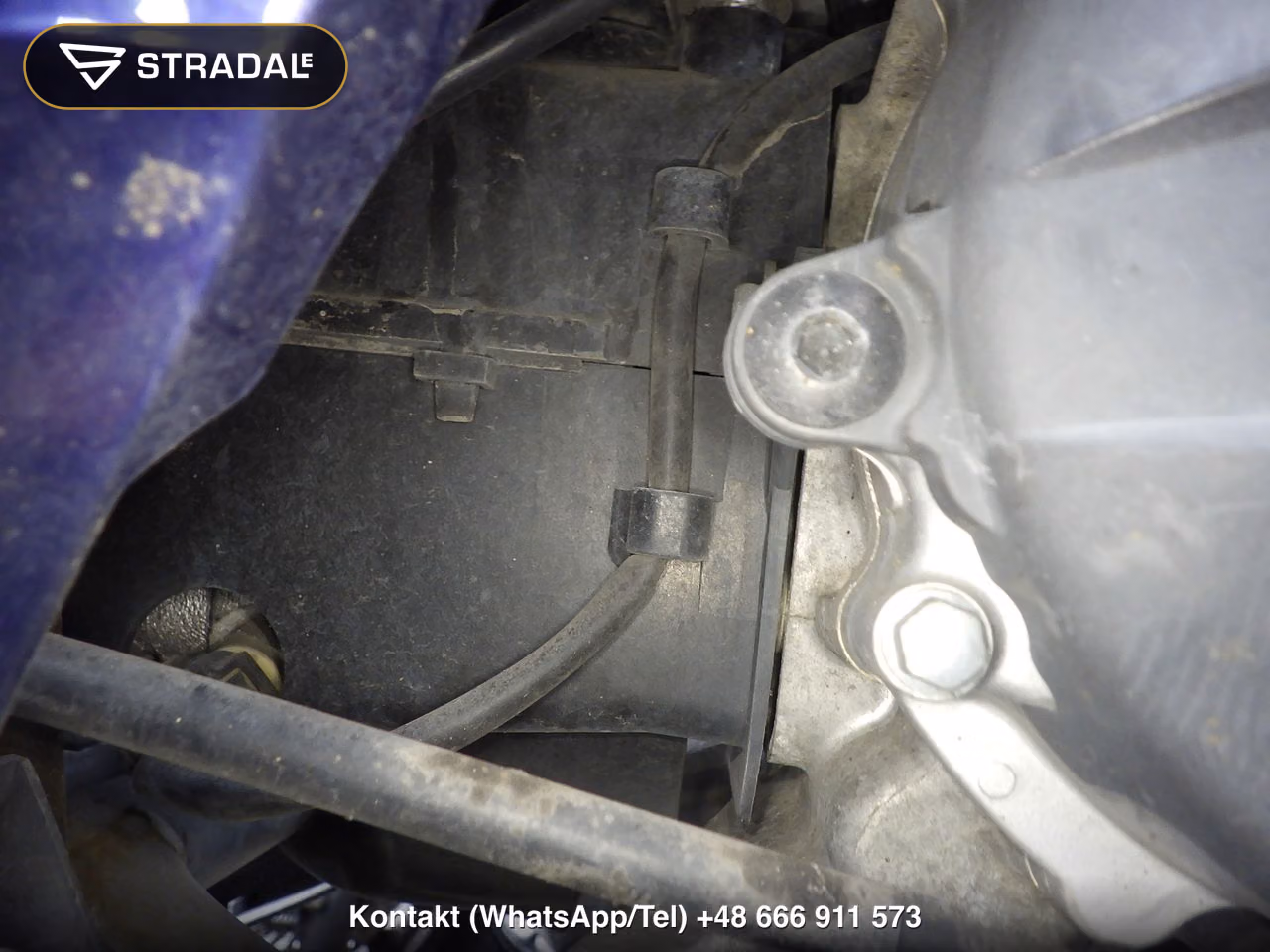 HONDA DIO110-2, miniaturka 5
