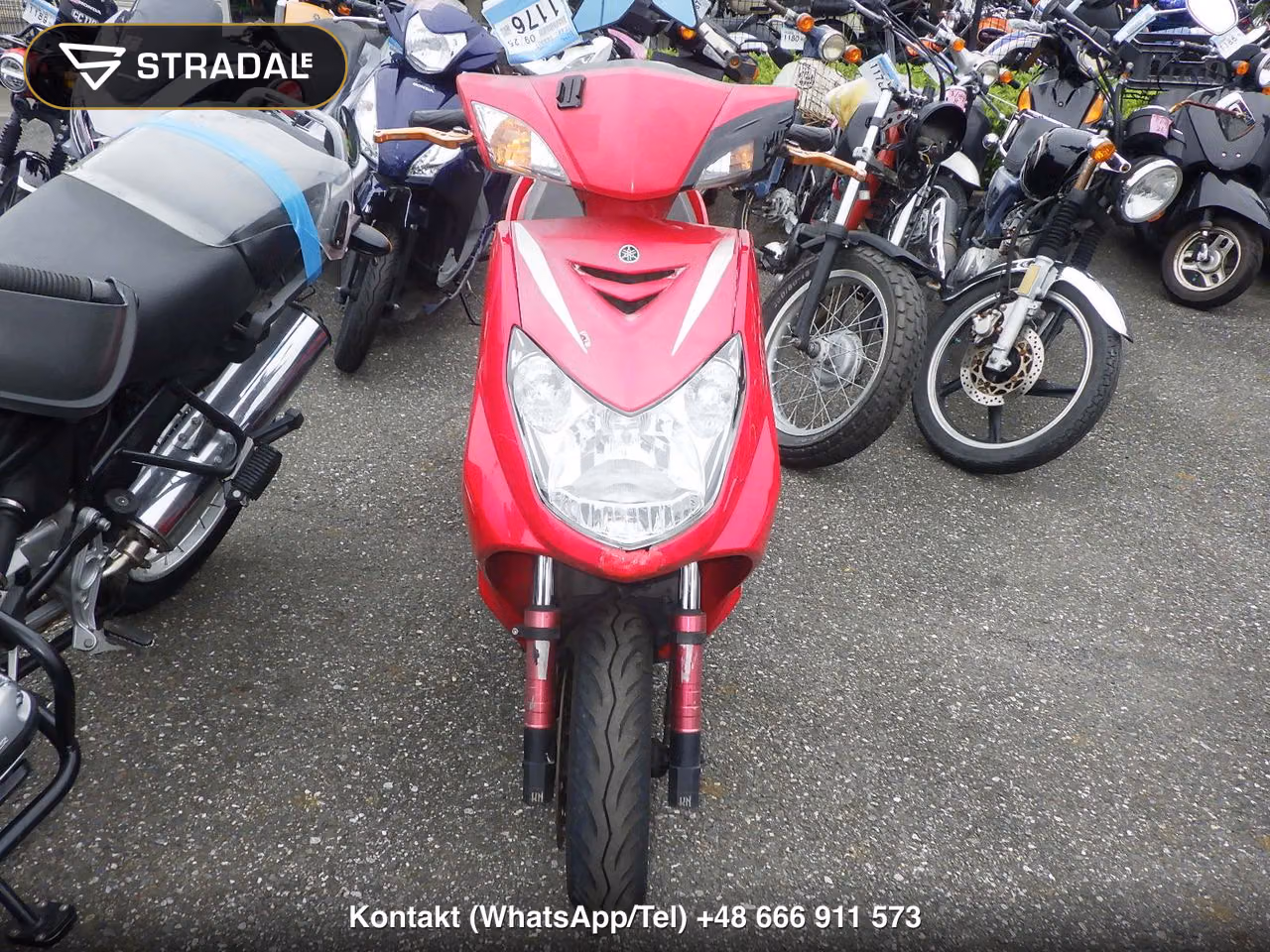 YAMAHA ｼｸﾞﾅｽ125X-2, miniaturka 6