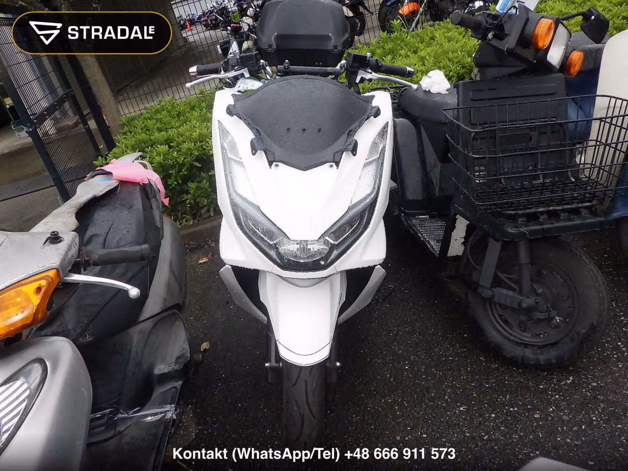 HONDA PCX125-4, miniaturka 6