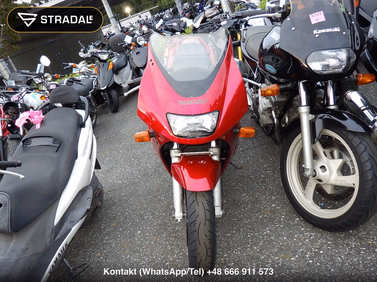 SUZUKI RF900R, miniaturka 6