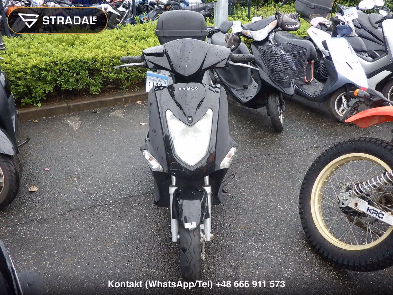 KYMCO ｱｼﾞﾘﾃｨ-50, miniaturka 6