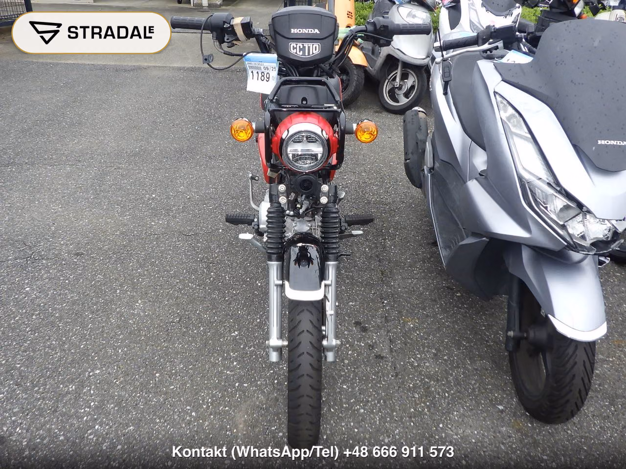 HONDA ｸﾛｽｶﾌﾞ110-3, miniaturka 6