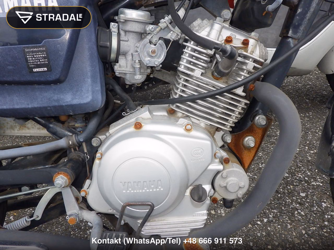 YAMAHA YB125SP, miniaturka 3