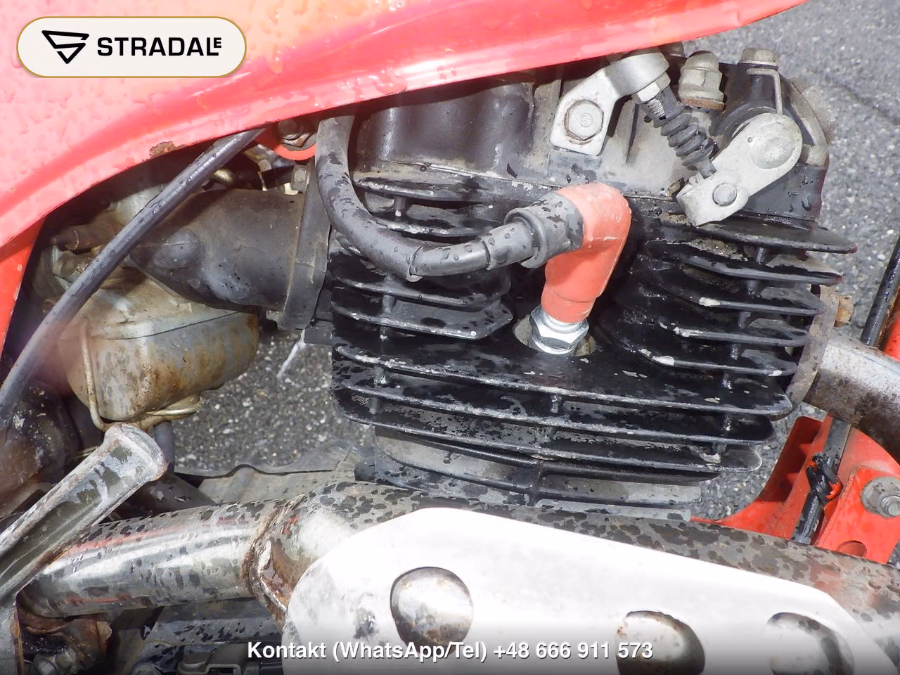 HONDA TLR200, miniaturka 3