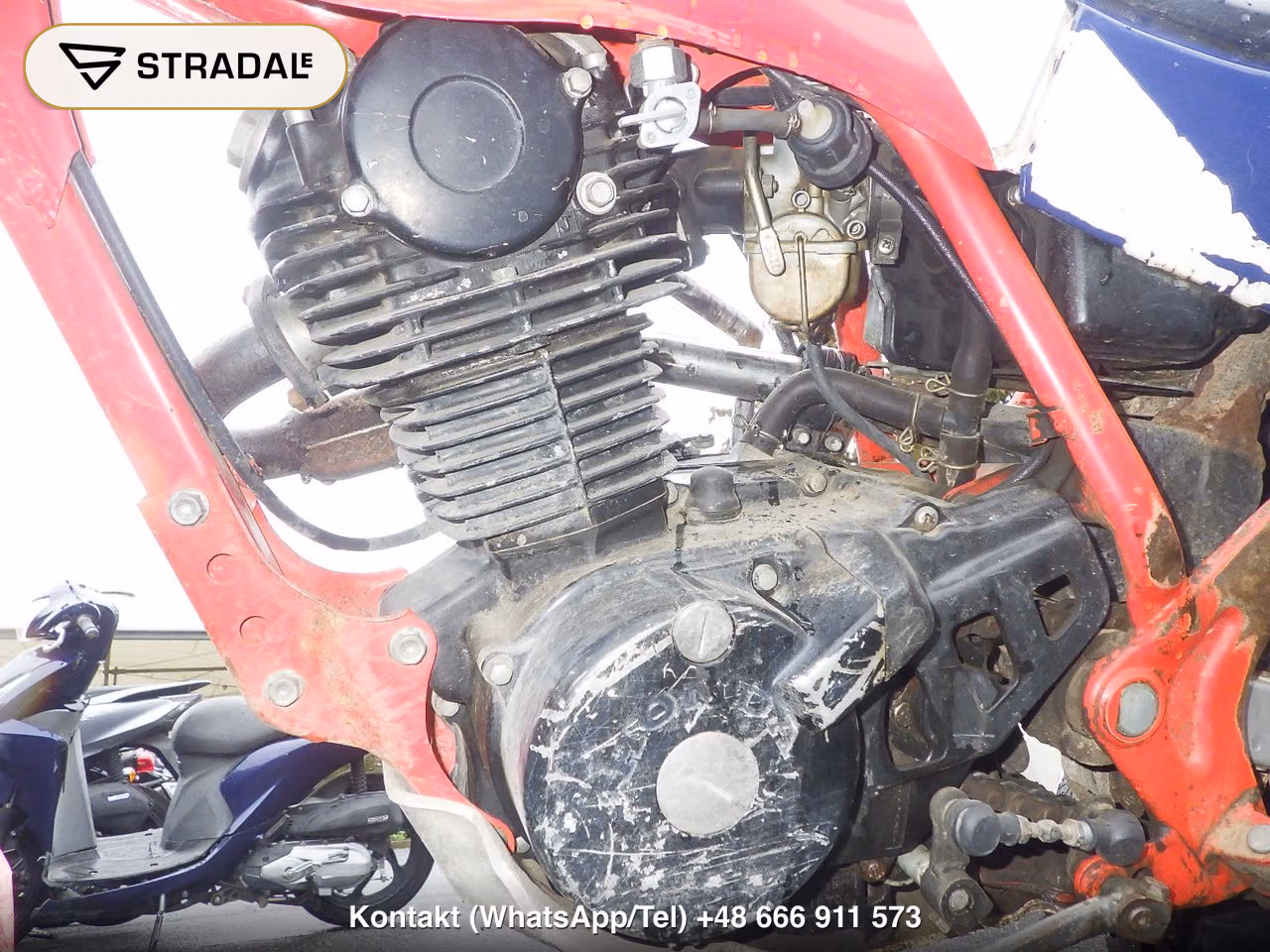 HONDA TLR200, miniaturka 5