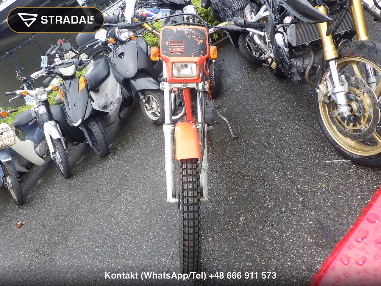 HONDA TLR200, miniaturka 6