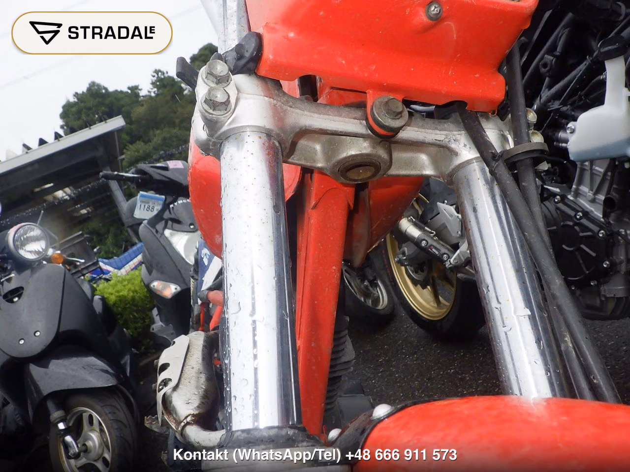 HONDA TLR200, miniaturka 8