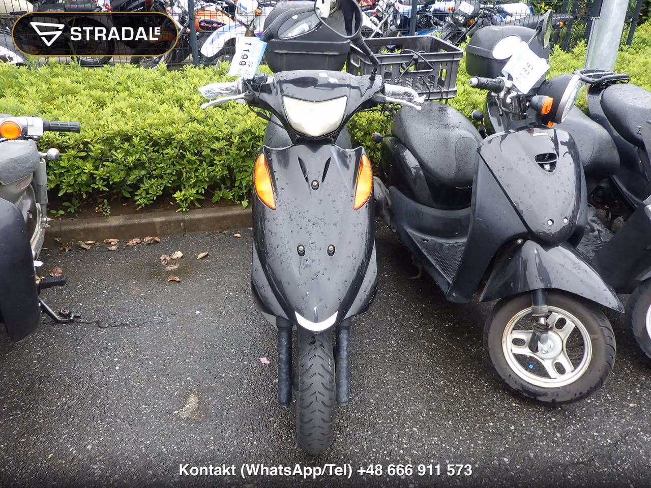 SUZUKI ｱﾄﾞﾚｽV125, miniaturka 6