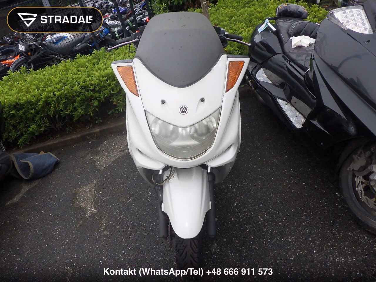 YAMAHA ﾏｼﾞｪｽﾃｨ250C, miniaturka 6