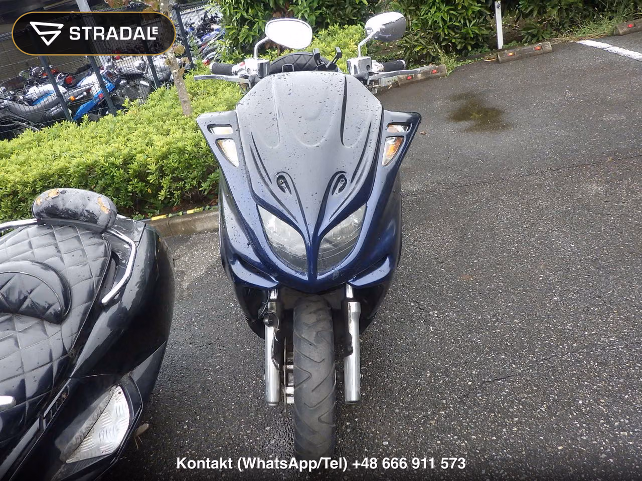 YAMAHA ﾏｼﾞｪｽﾃｨ250C, miniaturka 6