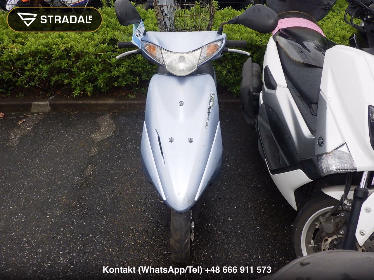 SUZUKI ｱﾄﾞﾚｽV50, miniaturka 6