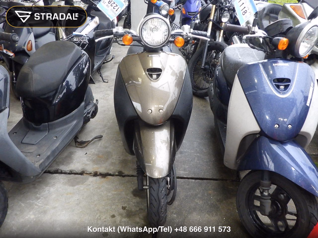 HONDA ﾄｩﾃﾞｲ-2, miniaturka 6