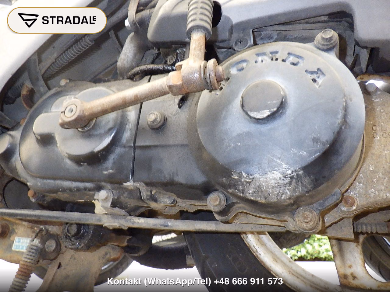 HONDA DIO-1, miniaturka 3